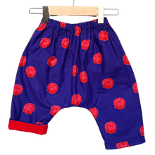 Load image into Gallery viewer, Flannel Lined *Happy Pants* #65
