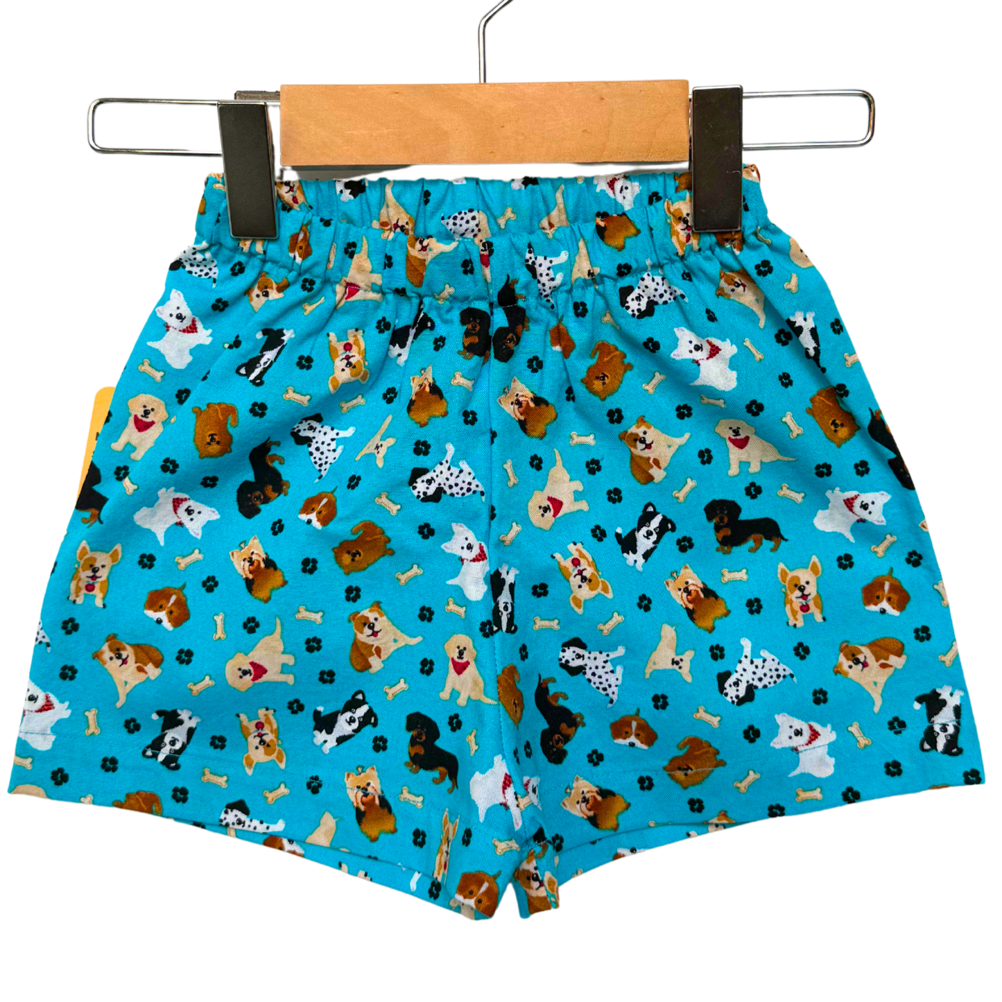 Camp Shorts #46