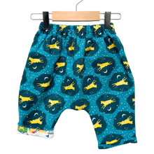 Load image into Gallery viewer, Flannel Lined *Happy Pants* #68
