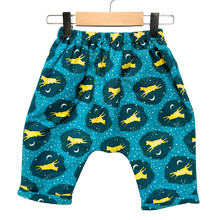 Load image into Gallery viewer, Flannel Lined *Happy Pants* #68
