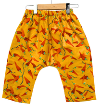 Load image into Gallery viewer, Flannel Lined *Happy Pants* #77
