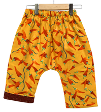 Load image into Gallery viewer, Flannel Lined *Happy Pants* #77
