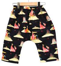 Load image into Gallery viewer, Flannel Lined *Happy Pants* #78
