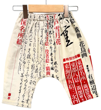 Load image into Gallery viewer, Flannel Lined *Happy Pants* #71
