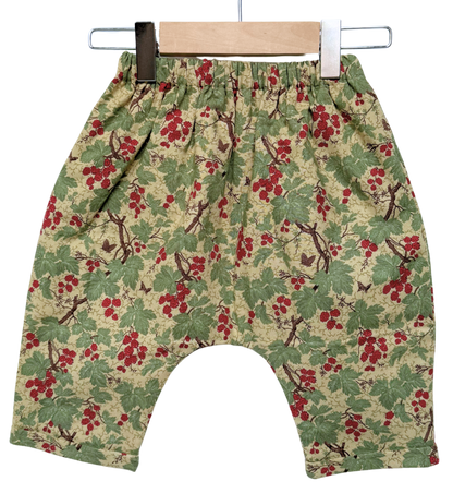 Flannel Lined *Happy Pants* #72