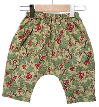 Load image into Gallery viewer, Flannel Lined *Happy Pants* #72
