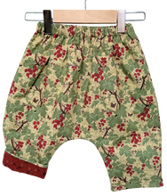 Load image into Gallery viewer, Flannel Lined *Happy Pants* #72
